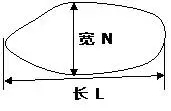 澳门霸王网